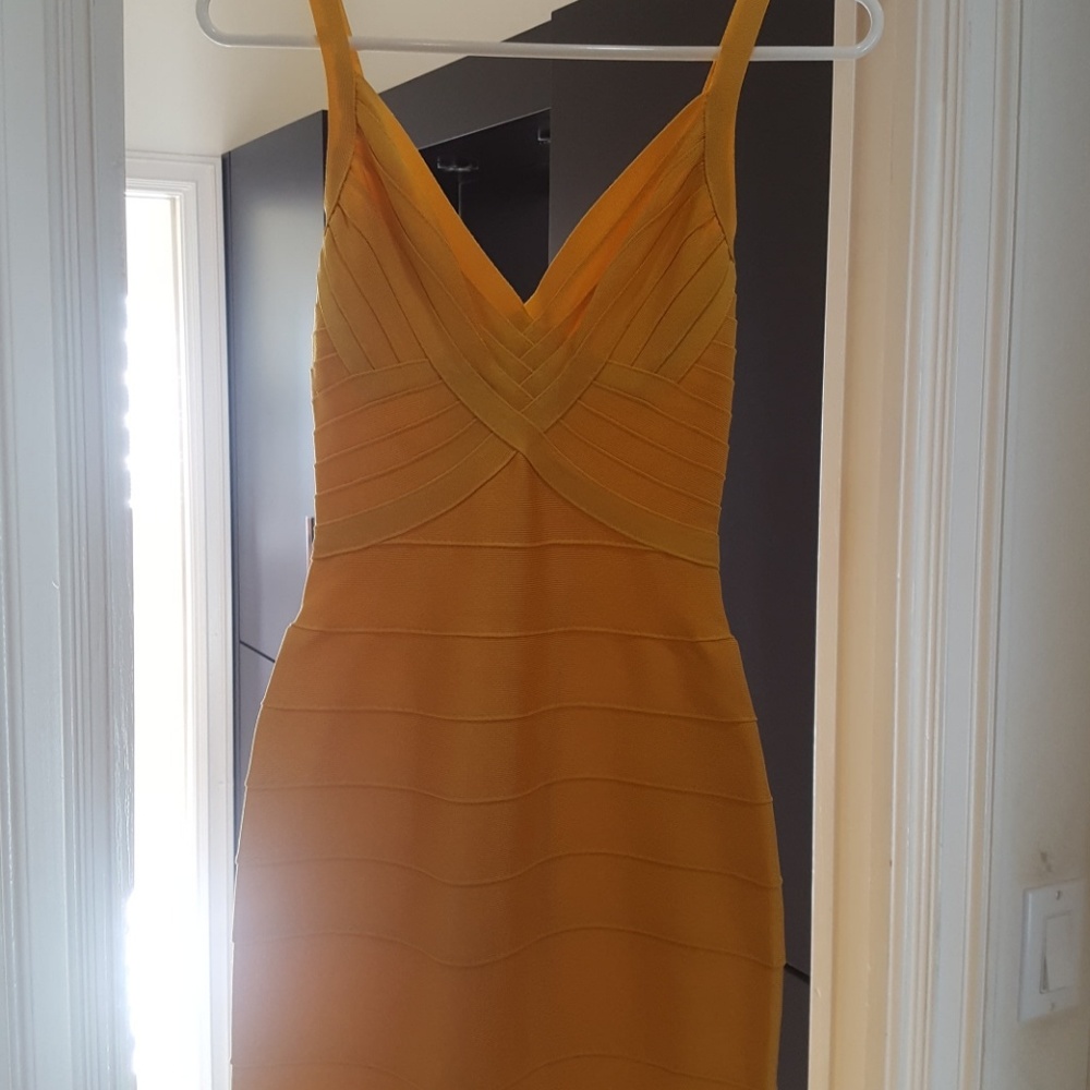 Herve Leger Couture gown.